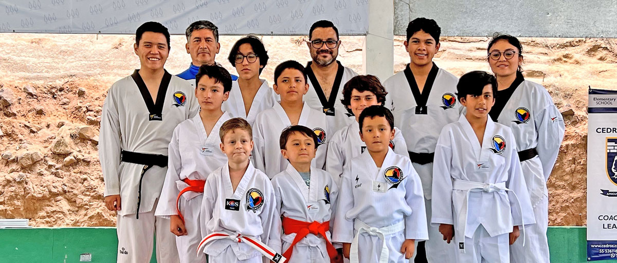 Taekwondo