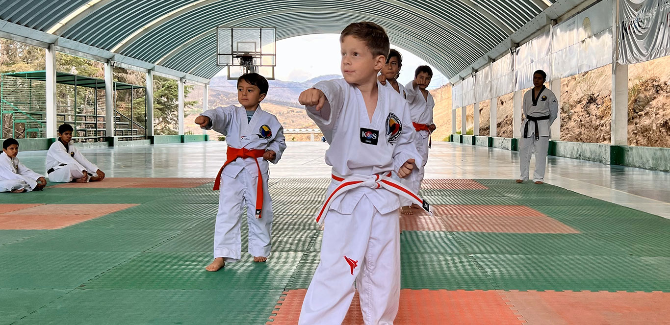 Taekwondo